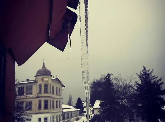 Hotel Gaestehaus & Restaurant Seemannshus *